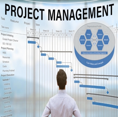 Service Provider of Project Management in New Delhi, Delhi, India.