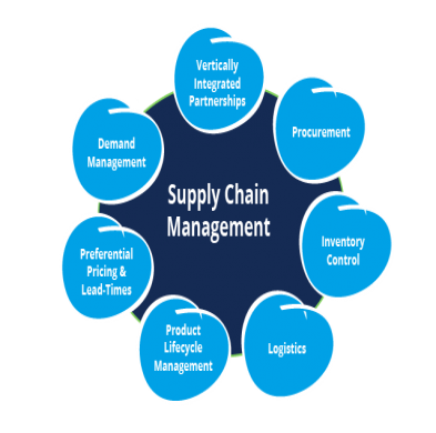 Service Provider of Supply Chain Management in New Delhi, Delhi, India.